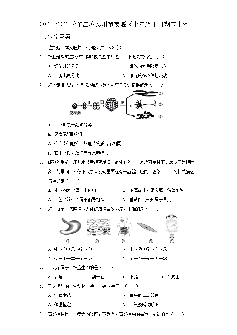 2020-2021学年江苏泰州市姜堰区七年级下册期末生物试卷及答案1.png