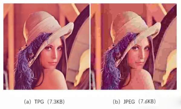 tpg是什么意思 tpg是什么格式7 tpg是什么意思 tpg是什么格式7