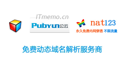 免费ddns哪个比较好和地址