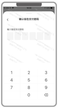  然后设置钱包支付密码，支付密码为 6 位数字，再次确认支付密码；