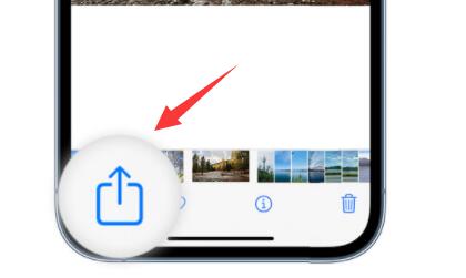 确保以上条件后，在相册打开想要播放的图片，点击左下角按钮。