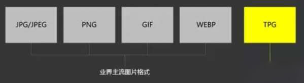 tpg是什么意思 tpg是什么格式 tpg是什么意思 tpg是什么格式