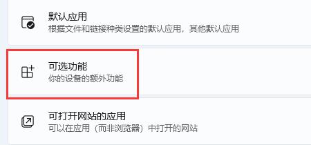 然后在其中打开“可选功能”
