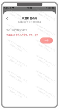 再然后就是设置钱包名称，该名称随意设置，之后也可以修改（名称不能超过 10 个字符，允许数字、字母、汉字）；