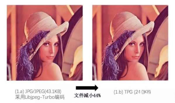 tpg是什么意思 tpg是什么格式2 tpg是什么意思 tpg是什么格式2