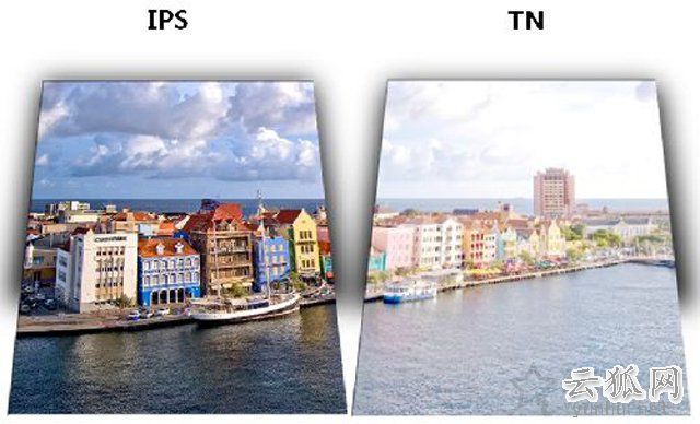 电脑显示器什么面板最好？IPS/TN/PLS/VA面板的显示器区别
