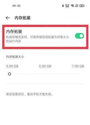 真我gt大师探索版19GB运存怎么打开(图文)
