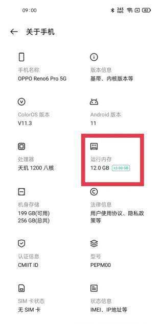 真我gt大师探索版19GB运存怎么打开(图文)