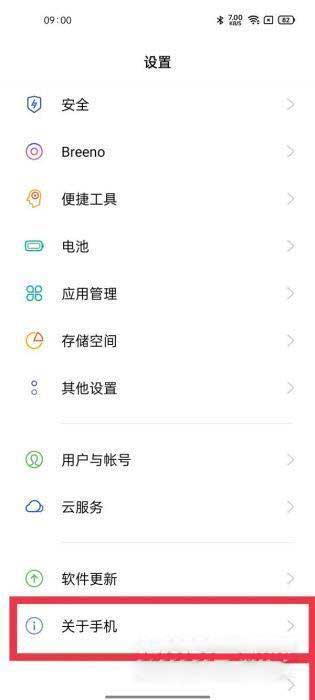 真我gt大师探索版19GB运存怎么打开(图文)