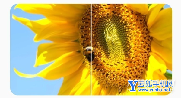 一加9RT屏幕有哪些升级-屏幕升级介绍