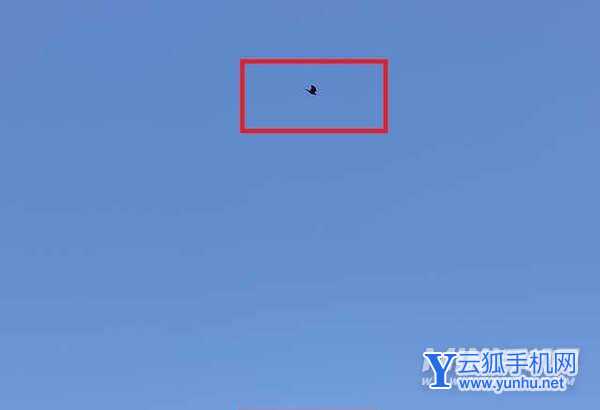 iphone13pro和华为mate40pro拍照对比-哪个拍照更加好