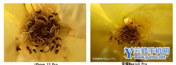 iPhone13Pro和荣耀magic3Pro哪个拍照好-拍照对比