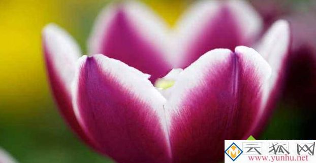 去除图片中的水印