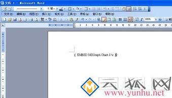 电脑在Word文档中插入Excel图表不显示如何解决