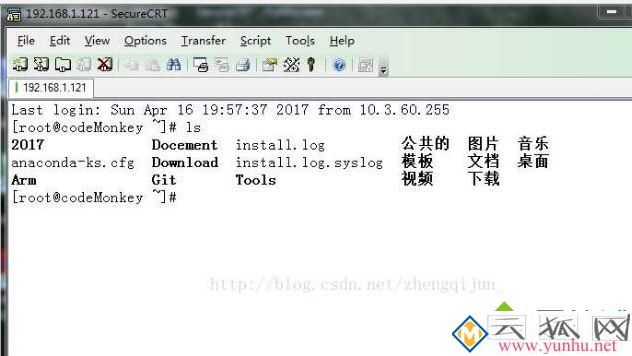 电脑在securecrt中输入中文出现乱码怎么办 电脑在securecrt中输入中文出现乱码怎么办