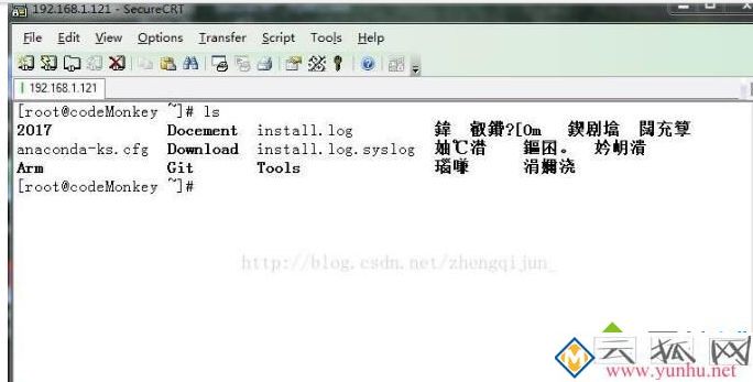 电脑在securecrt中输入中文出现乱码怎么办 电脑在securecrt中输入中文出现乱码怎么办