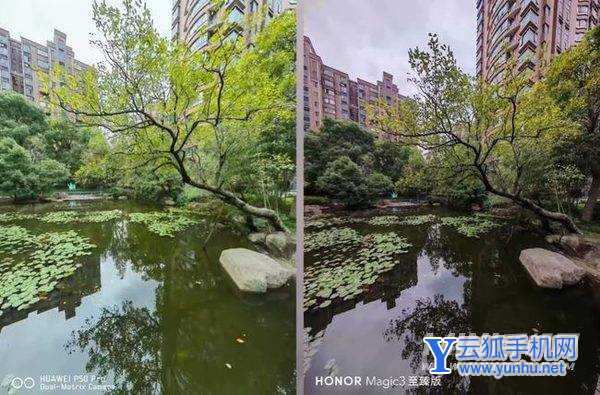 华为p50pro和荣耀magic3至臻版拍照对比-哪款手机拍照性能好