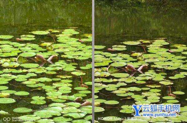 华为p50pro和荣耀magic3至臻版拍照对比-哪款手机拍照性能好