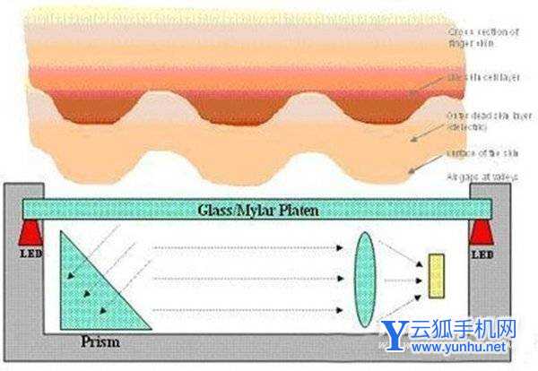 侧边、光学、超声波指纹识别哪个更快-解锁速度对比