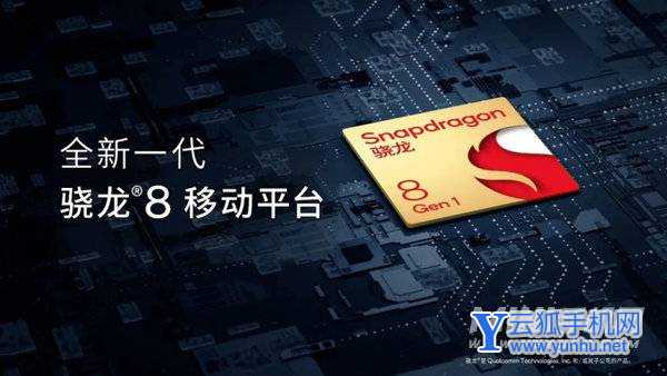 真我GT2Pro支持2K屏吗-屏幕分辨率是多少