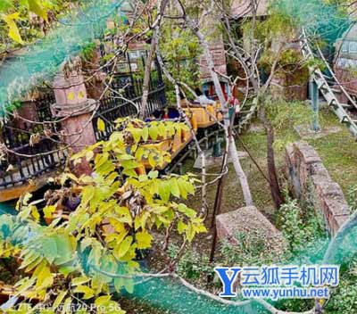 中兴远航20pro拍照怎么样-手机拍照评测