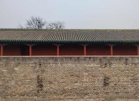 荣耀60Pro拍照怎么样-拍照实测(图文)