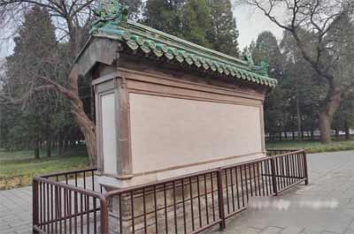 荣耀60Pro拍照怎么样-拍照实测(图文)