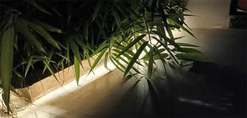 酷派COOL20Pro拍照怎么样-拍照实测(图文)