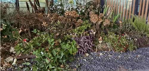 酷派COOL20Pro拍照怎么样-拍照实测(图文)