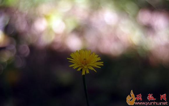 什么是光圈？手机摄像头光圈越大越好吗？