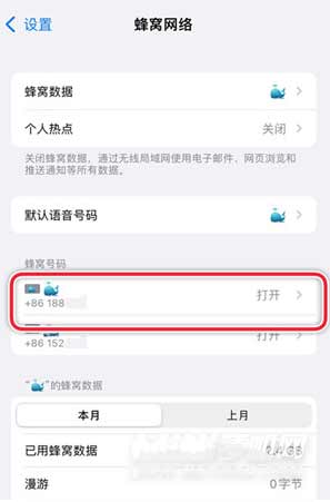 iPhone13手机的APN功能在哪(图文)