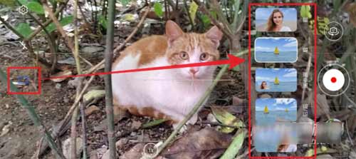 荣耀60Pro多镜录像怎么用(图文)