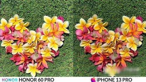 荣耀60Pro和iPhone13ProMax拍照对比-差距大吗(图文)