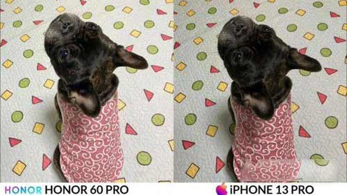 荣耀60Pro和iPhone13ProMax拍照对比-差距大吗(图文)