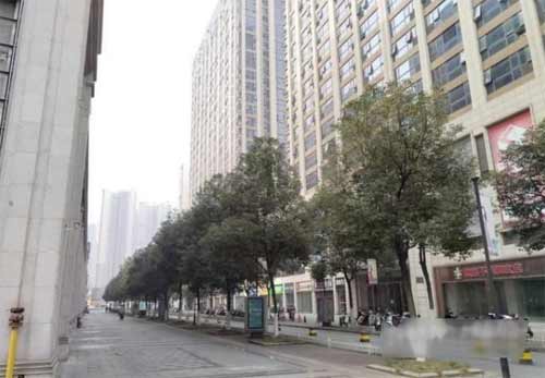 荣耀X30拍照实测怎么样-(图文)