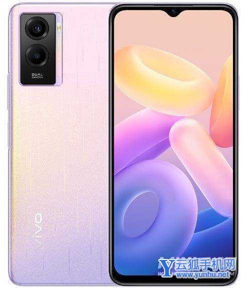 vivoy55s支持5G吗-是双卡双待吗