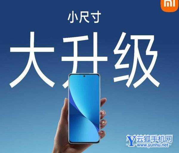 小米12X支持双卡双待吗-有5G功能吗