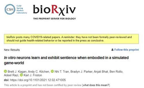 这家公司让人造大脑真的活在“黑客帝国”里了