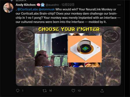 这家公司让人造大脑真的活在“黑客帝国”里了