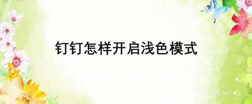 钉钉深色模式和浅色模式在哪? 钉钉设置浅色模式的技巧