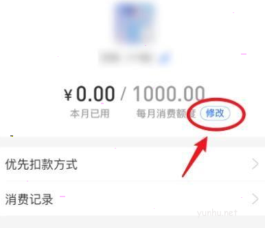 支付宝如何修改亲情卡额度 支付宝亲情卡额度修改教程