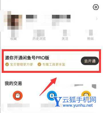闲鱼号pro版怎么开通? 闲鱼申请pro版的技巧