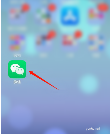 微信如何查看支付分守约记录 微信查看支付分守约记录方法