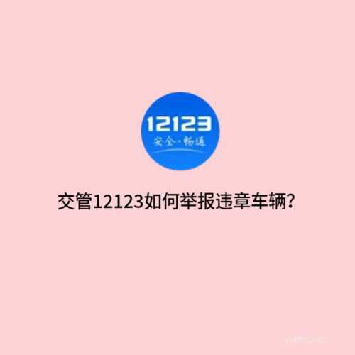 交管12123app怎么举报违章车辆? 交管12123违章举报技巧
