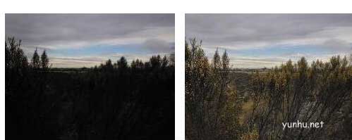 西瓜视频怎么传输高清动态视频?