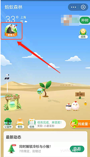 支付宝蚂蚁森林蘑菇树装扮怎么获取?蚂蚁森林蘑菇树装扮获取教程