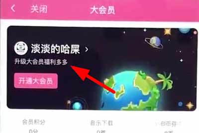 哔哩哔哩怎么关闭大会员自动续费?