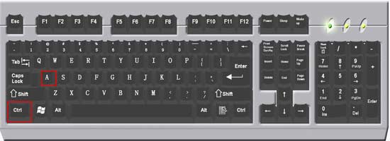 电脑剪切的快捷键是什么