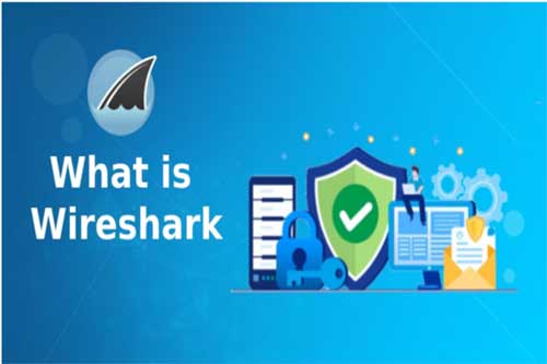 什么是Wireshark