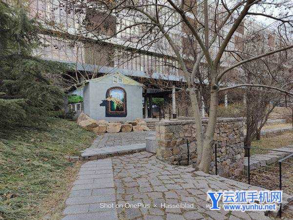 一加10Pro拍照怎么样-手机拍照评测